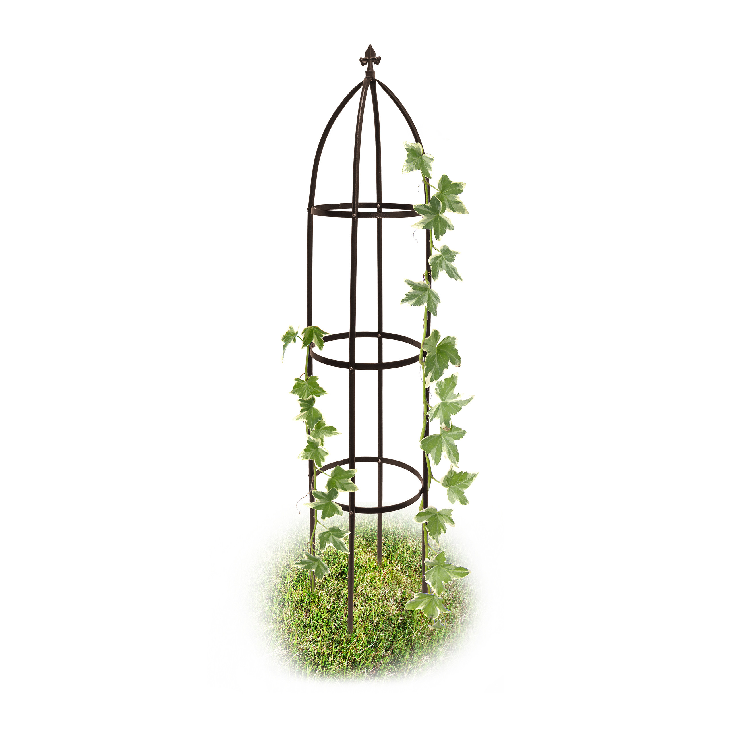 Rankhilfe obelisk metall Kletterpflanzensttze Garten Ranksule modern 2,4  kg 4052025178802| eBay