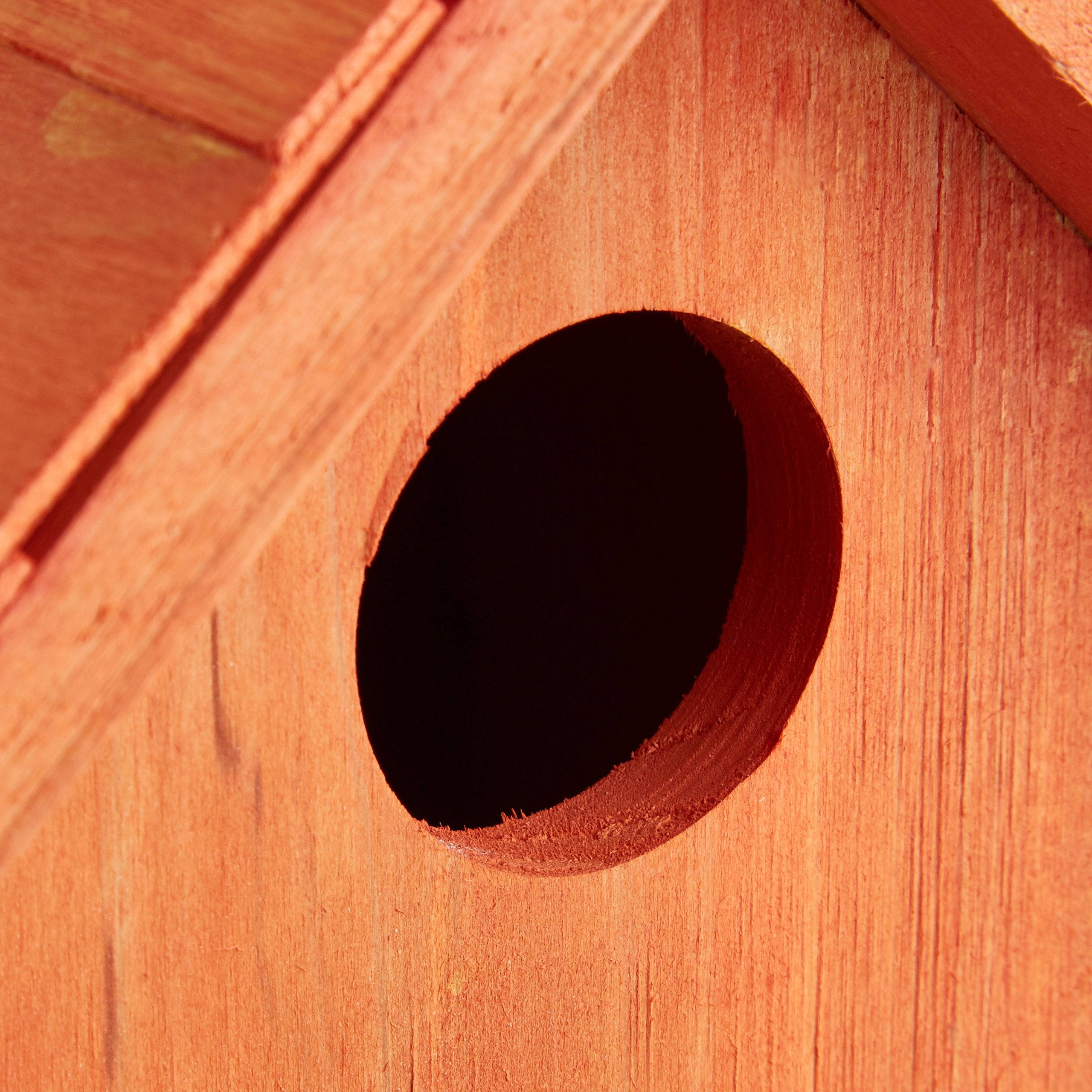 Nistkasten Vogelhäuschen aus Holz Brutkasten mit Tür Vogelhaus im Shabby-Look