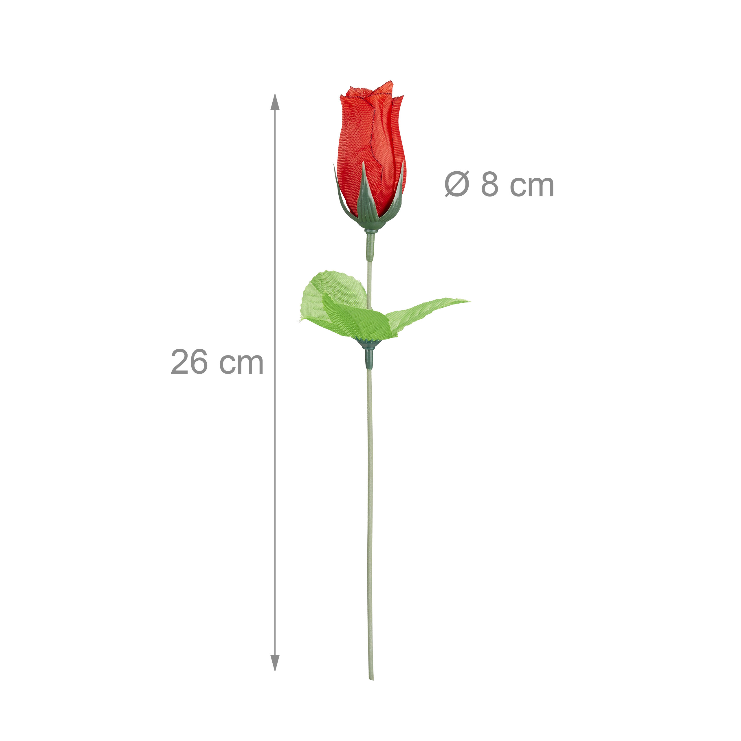 pflanztopf fr monstera Monstera deliciosa XXL | Online kaufen