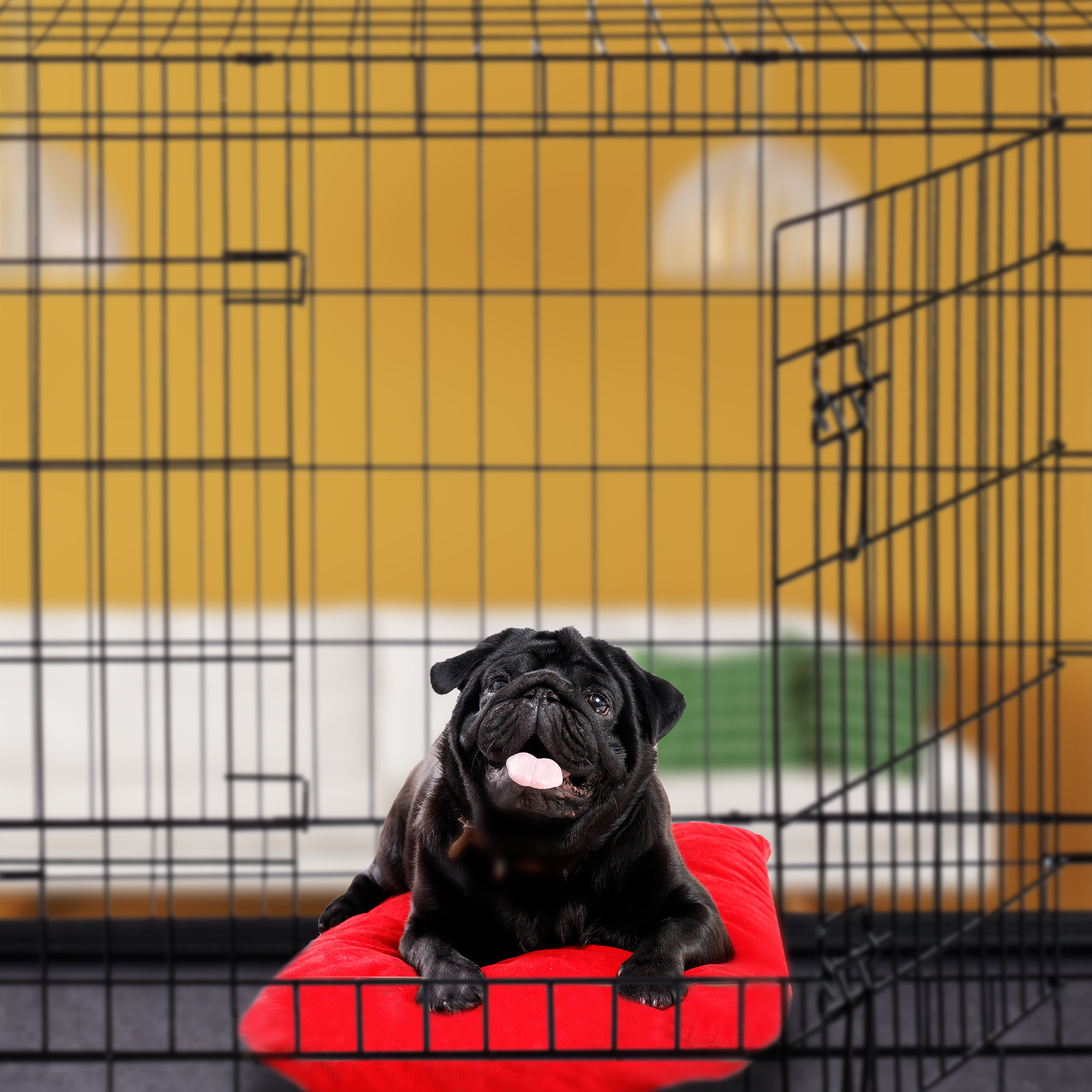 Hundekäfig Auto Transportbox Hund Drahtkäfig S-XXXL Welpenkäfig Hundegitterbox