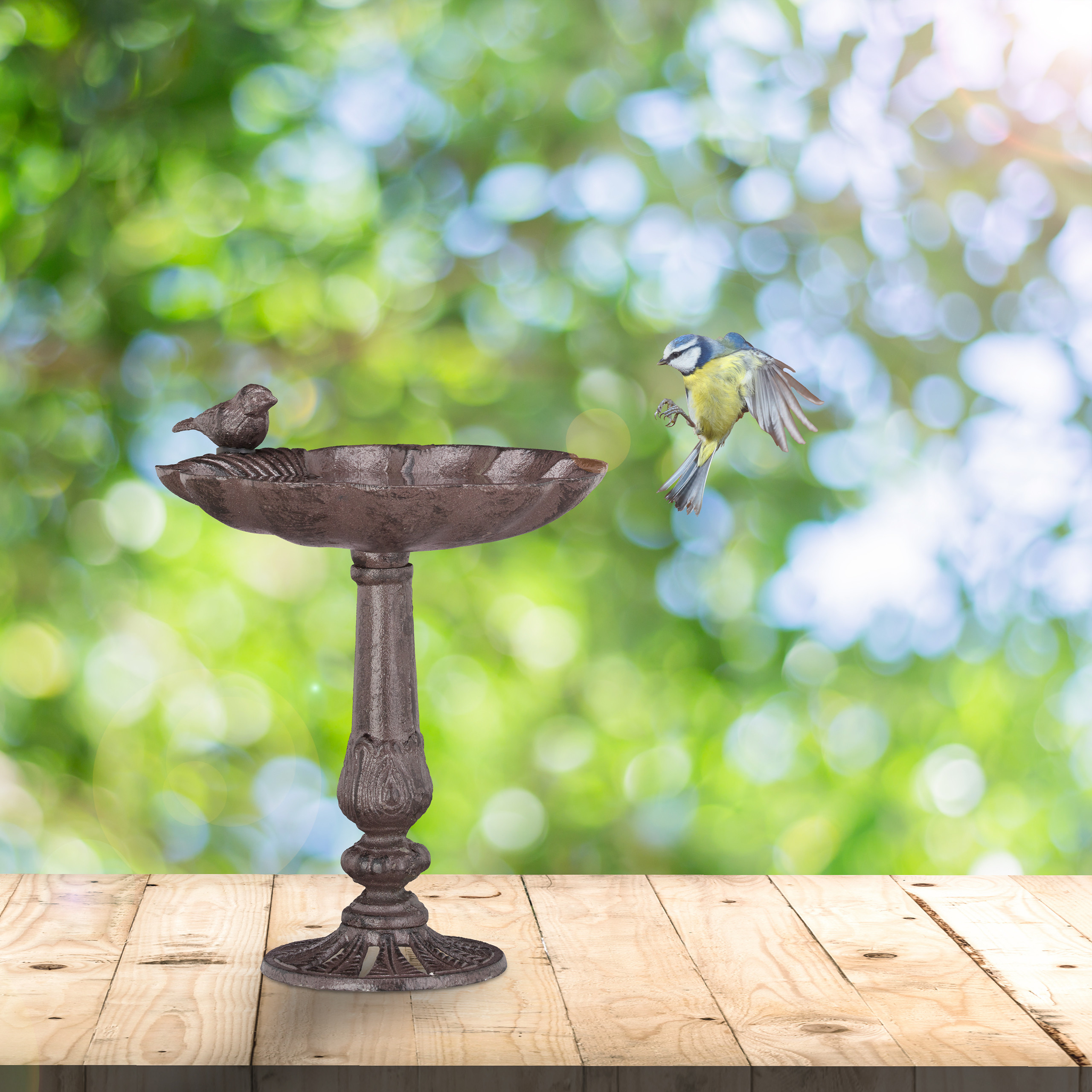 Ecco come realizzare un abbeveratoio per uccelli – trucchi casa e giardino