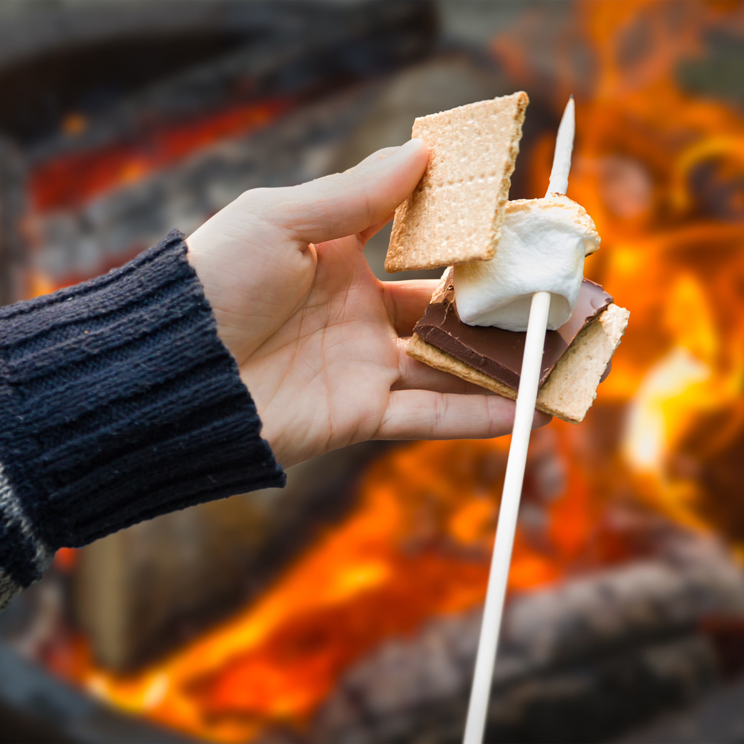 Stockbrot spiee Grillspiee aus Bambus 100 Stck 90 cm Marshmallow Spiee  | eBay
