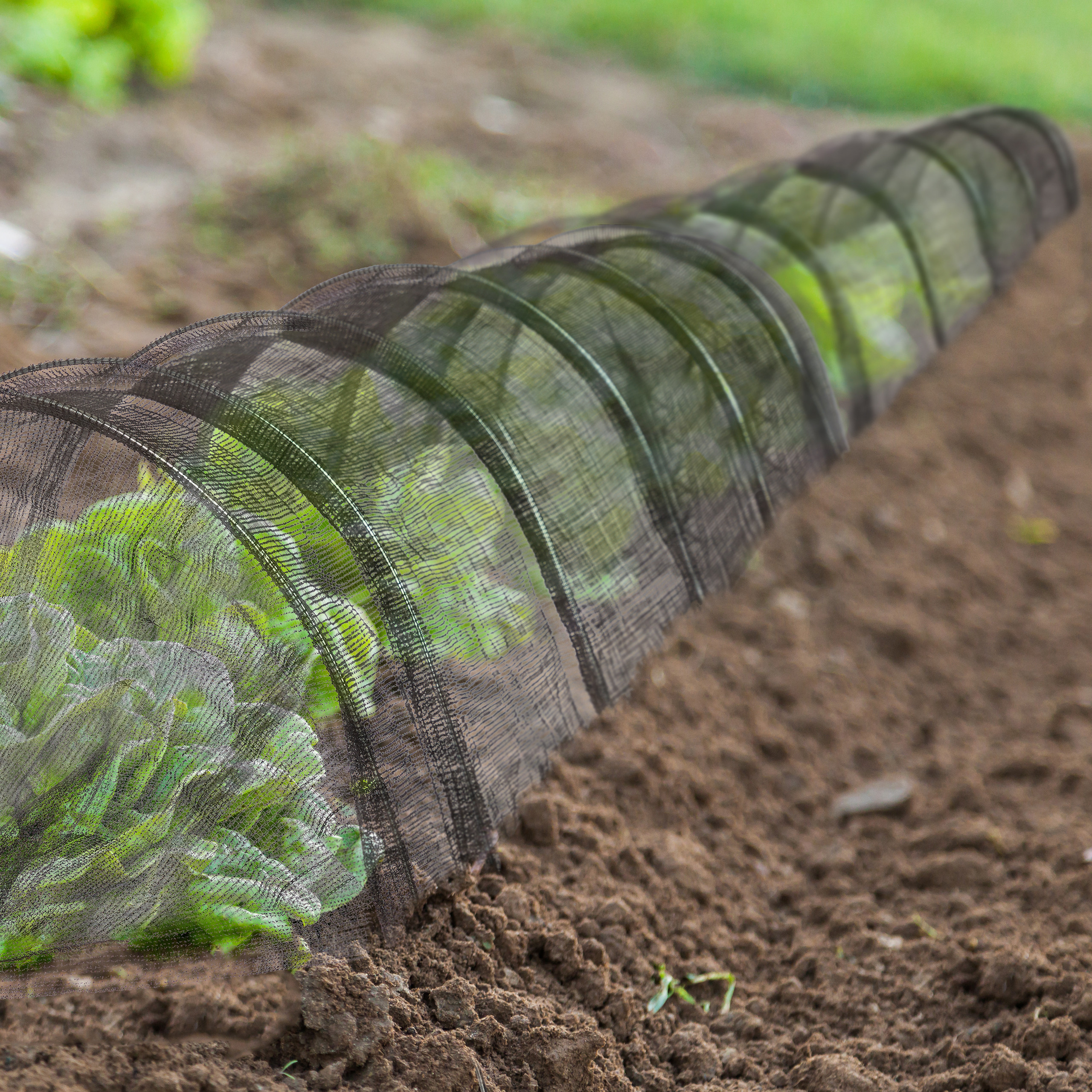 2 Stück Pflanzenschutznetz – Zum Abdecken Von Gemüse, Beeten Vor Vögeln & Insekten