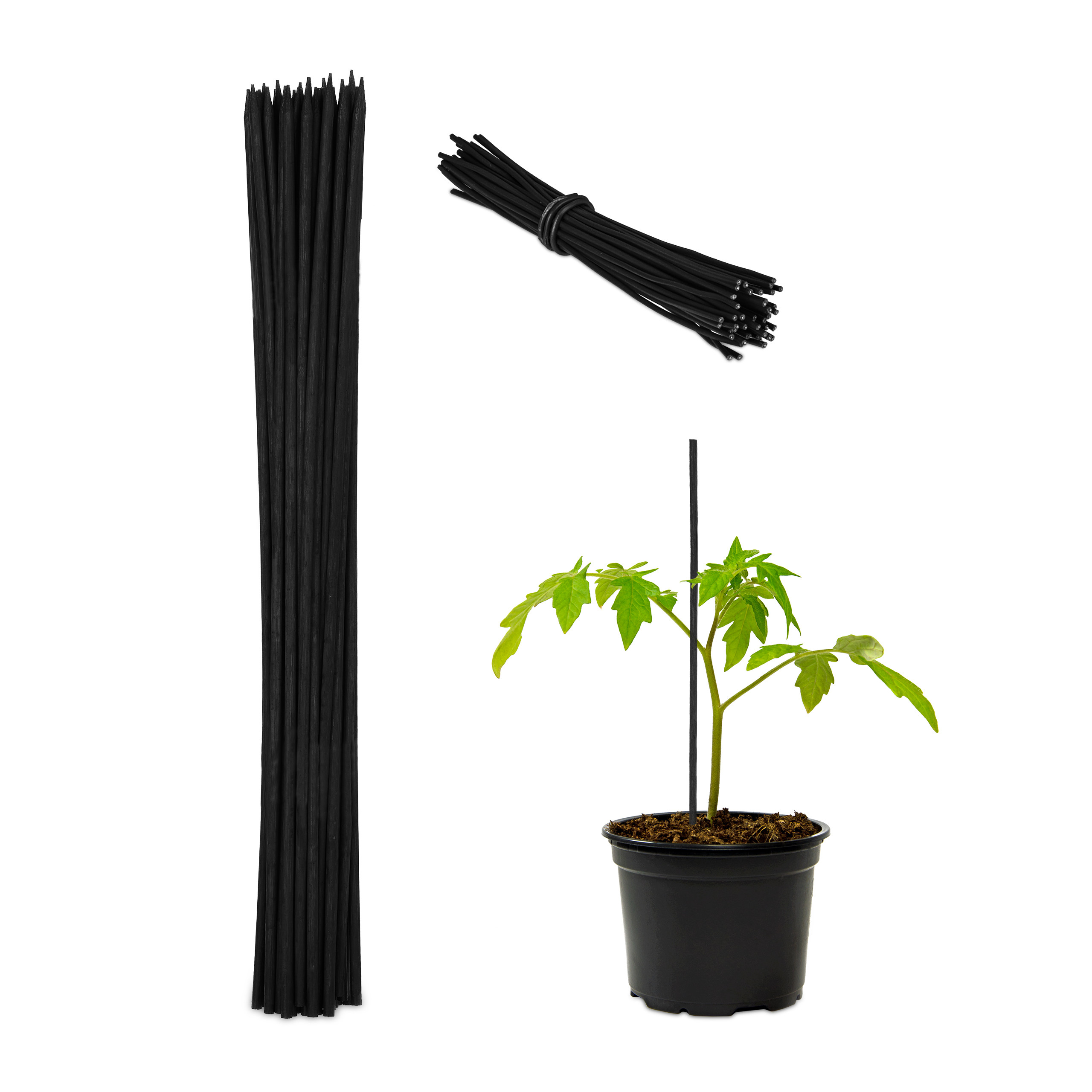 Pflanzstbe 100er Set Bambusstab Pflanzensttze 30 cm Markierstab  Orchideenstab | eBay