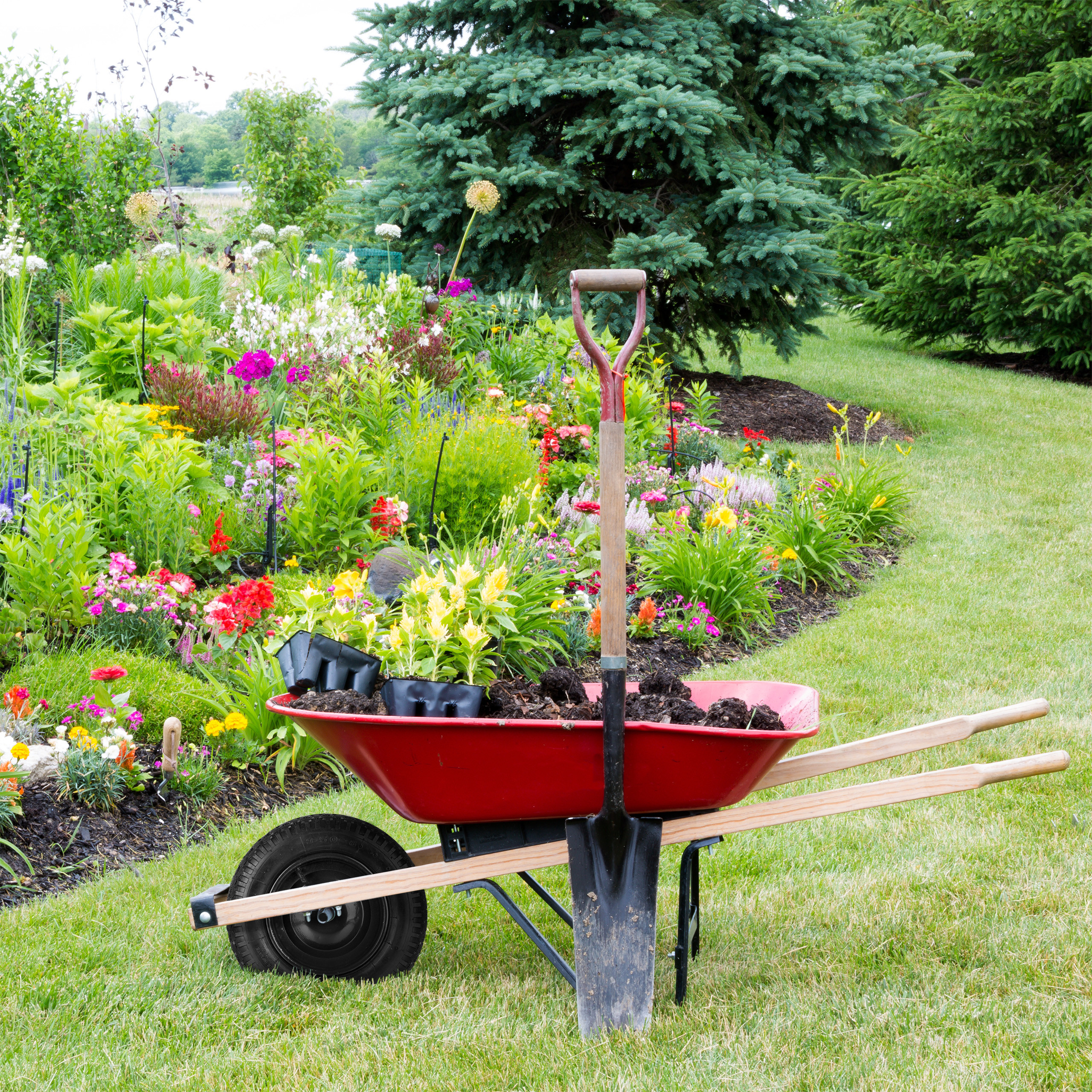 Schubkarrenrad Sackkarrenrad Ersatzrad für Gartenwagen 36 cm 2 bar Ersatzrad - Bild 2 von 8