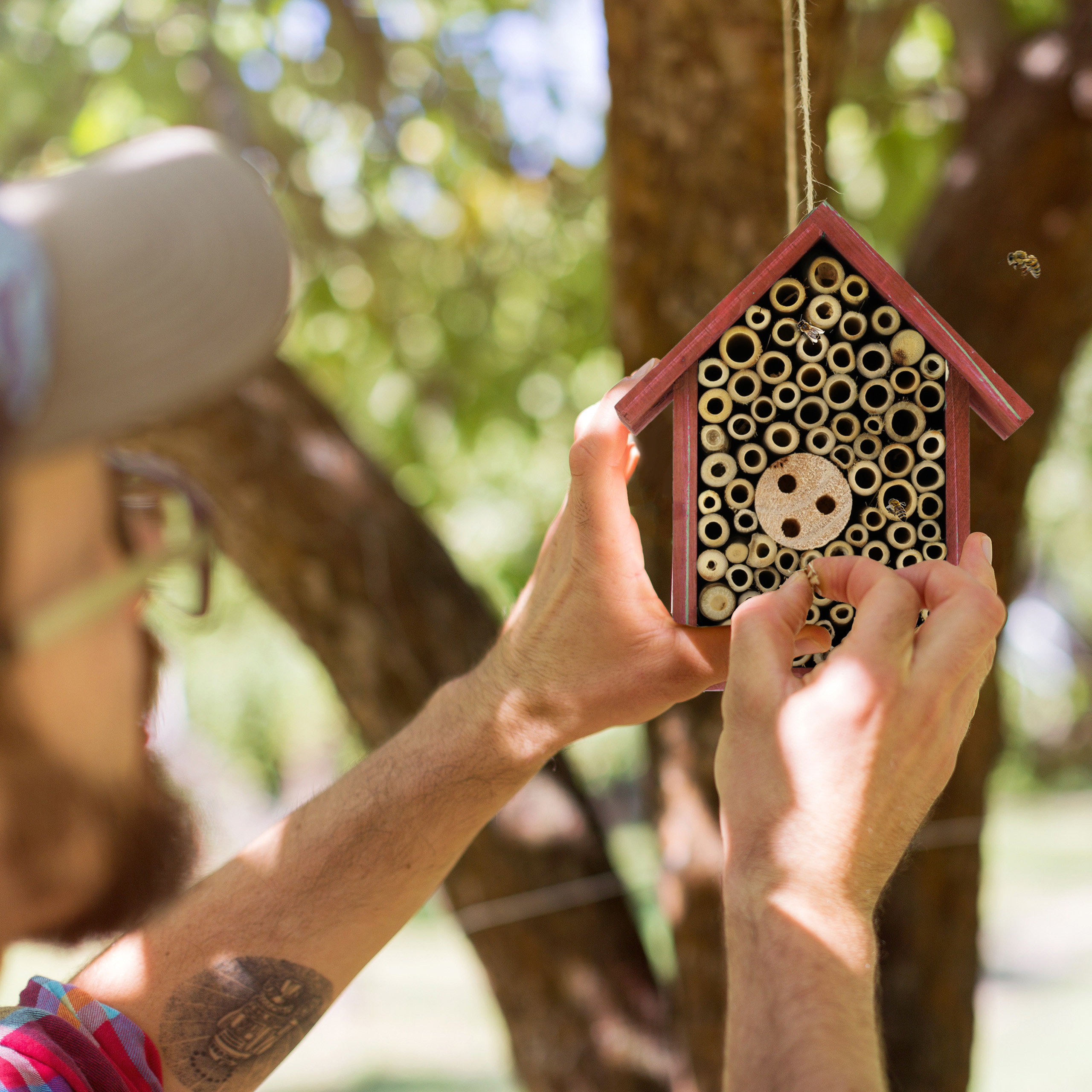 Hotel De Insectos Relaxdays (rojo): Ayuda Para Abejas Silvestres, Avispas Y Mariquitas
