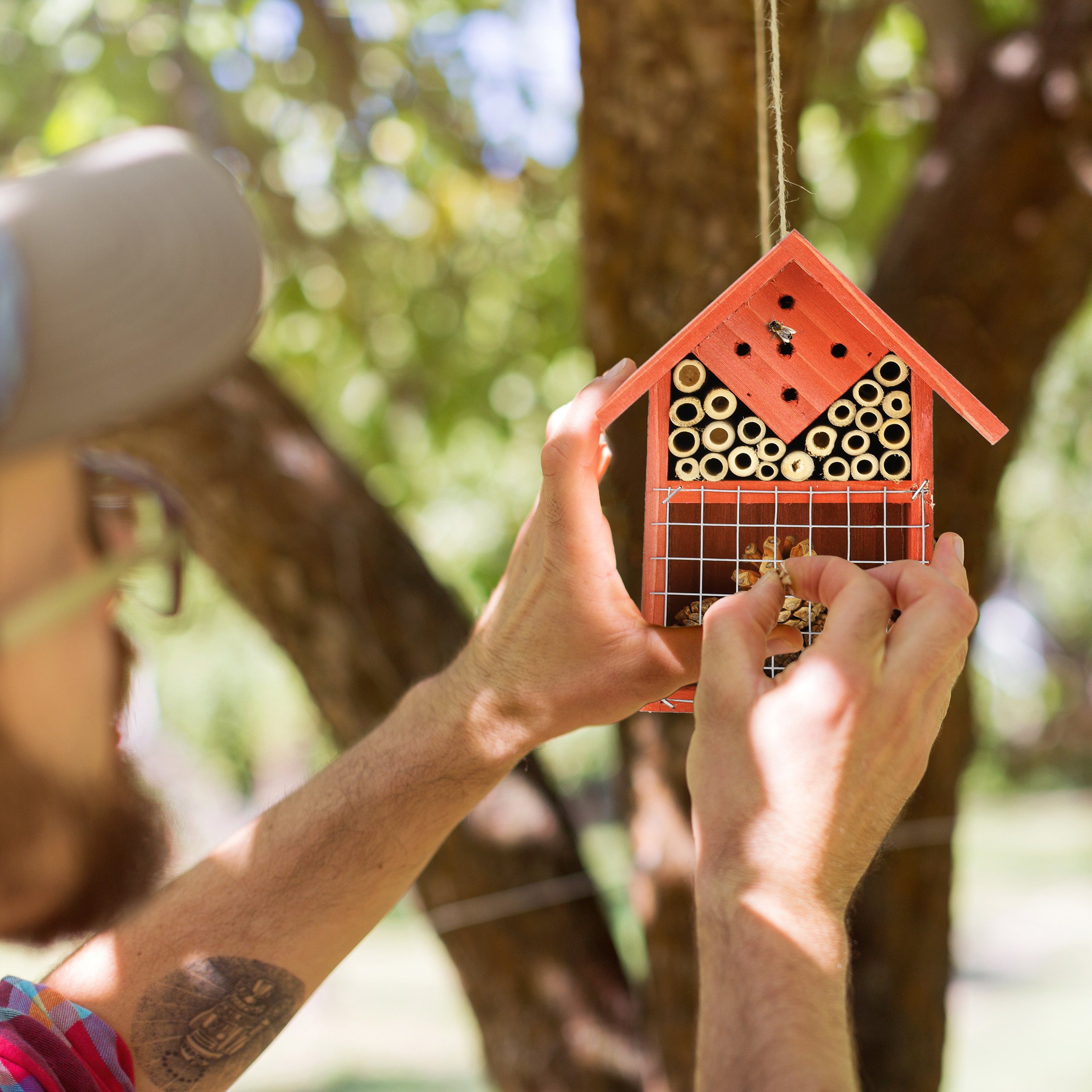 HOTEL RURAL LA COROLLA - Lodge Reviews (Quintueles, Spain