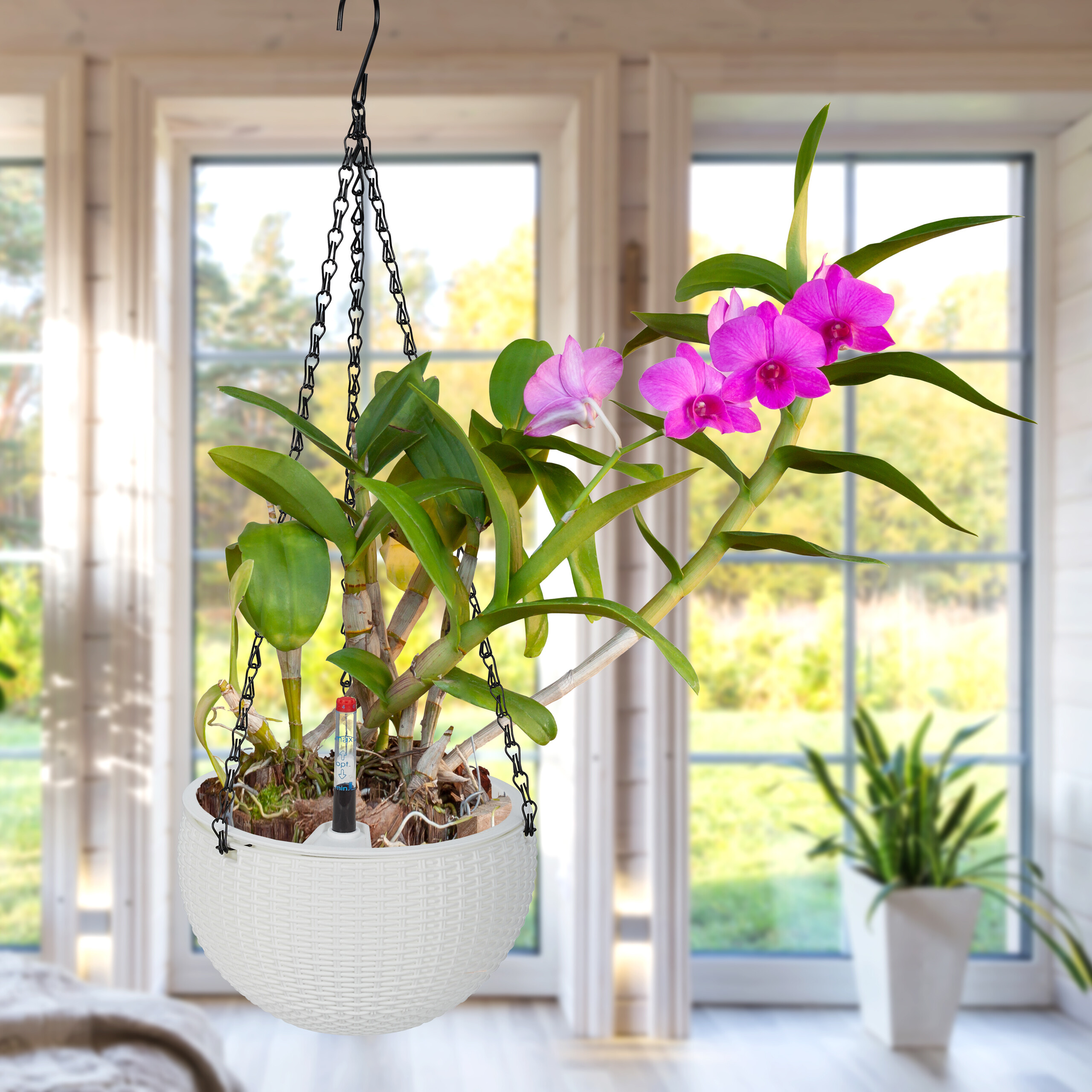 Vasi erbe aromatiche - Set 10 Vasi da Fiori Verdi con Sistema di : Vaso Con Sistema Di Auto-irrigazione