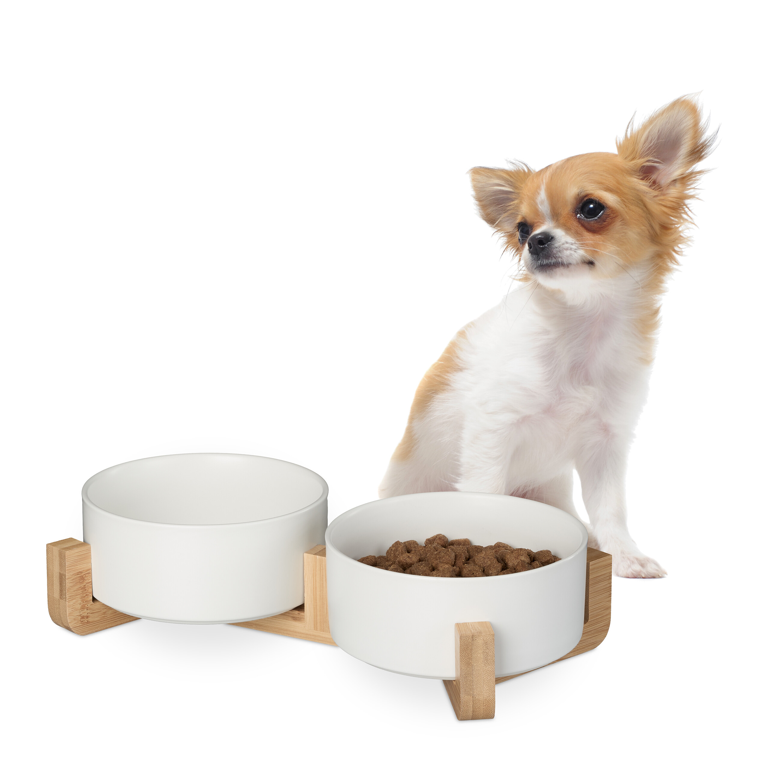 Hunde napfbar keramik Hundenapfbar Hundenapfset Doppelter Hundenapf 850 ml - Bild 10 von 16