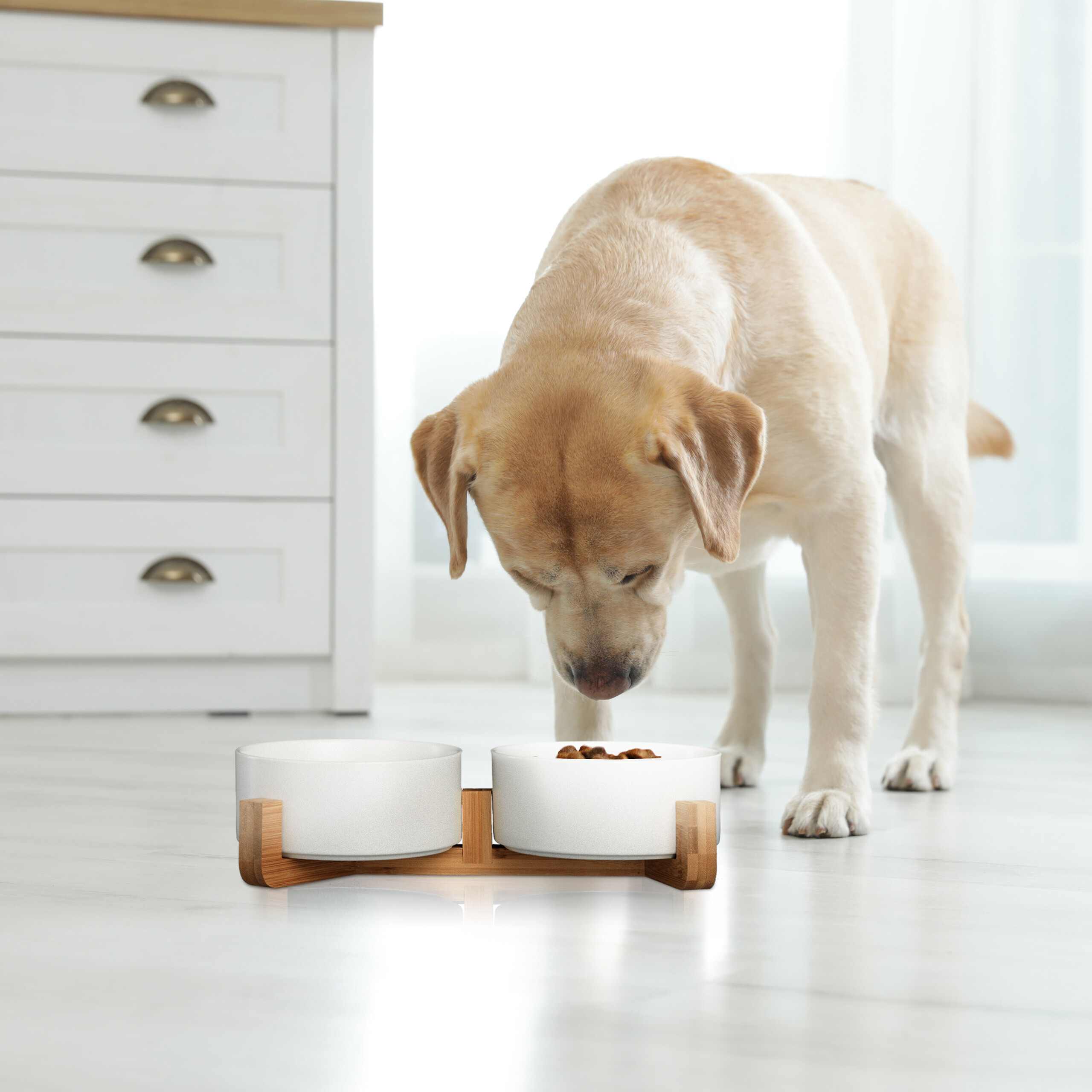 Hunde napfbar keramik Hundenapfbar Hundenapfset Doppelter Hundenapf 850 ml - Bild 12 von 16
