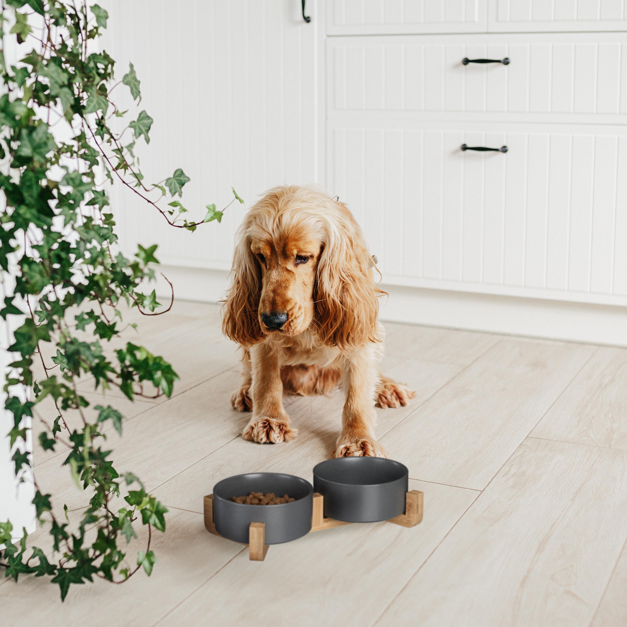 Hunde napfbar keramik Hundenapfbar Hundenapfset Doppelter Hundenapf 850 ml - Bild 14 von 16