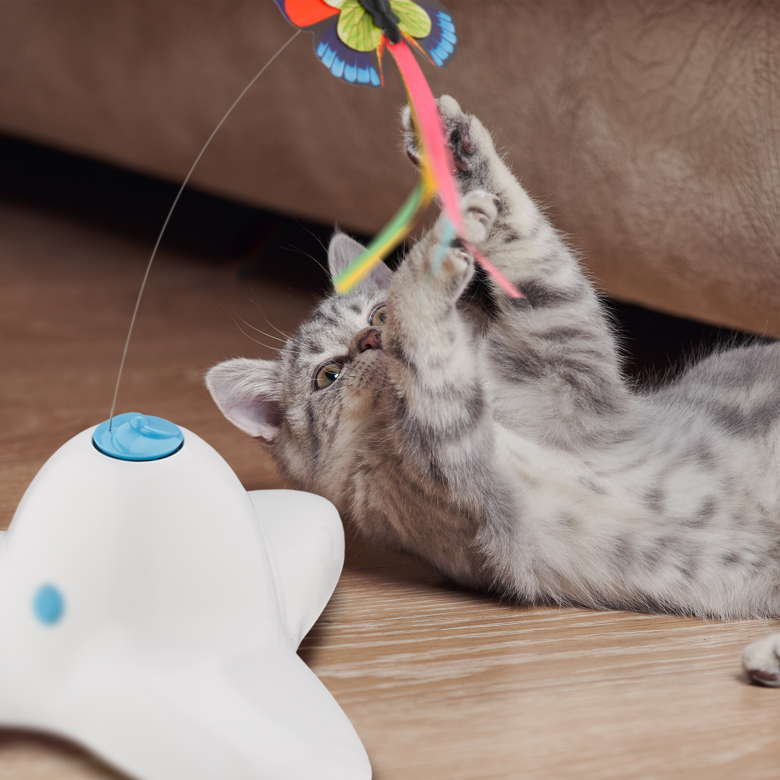 Jouet Durable Pour Animaux De Compagnie Boules Clignotantes Pour Chats