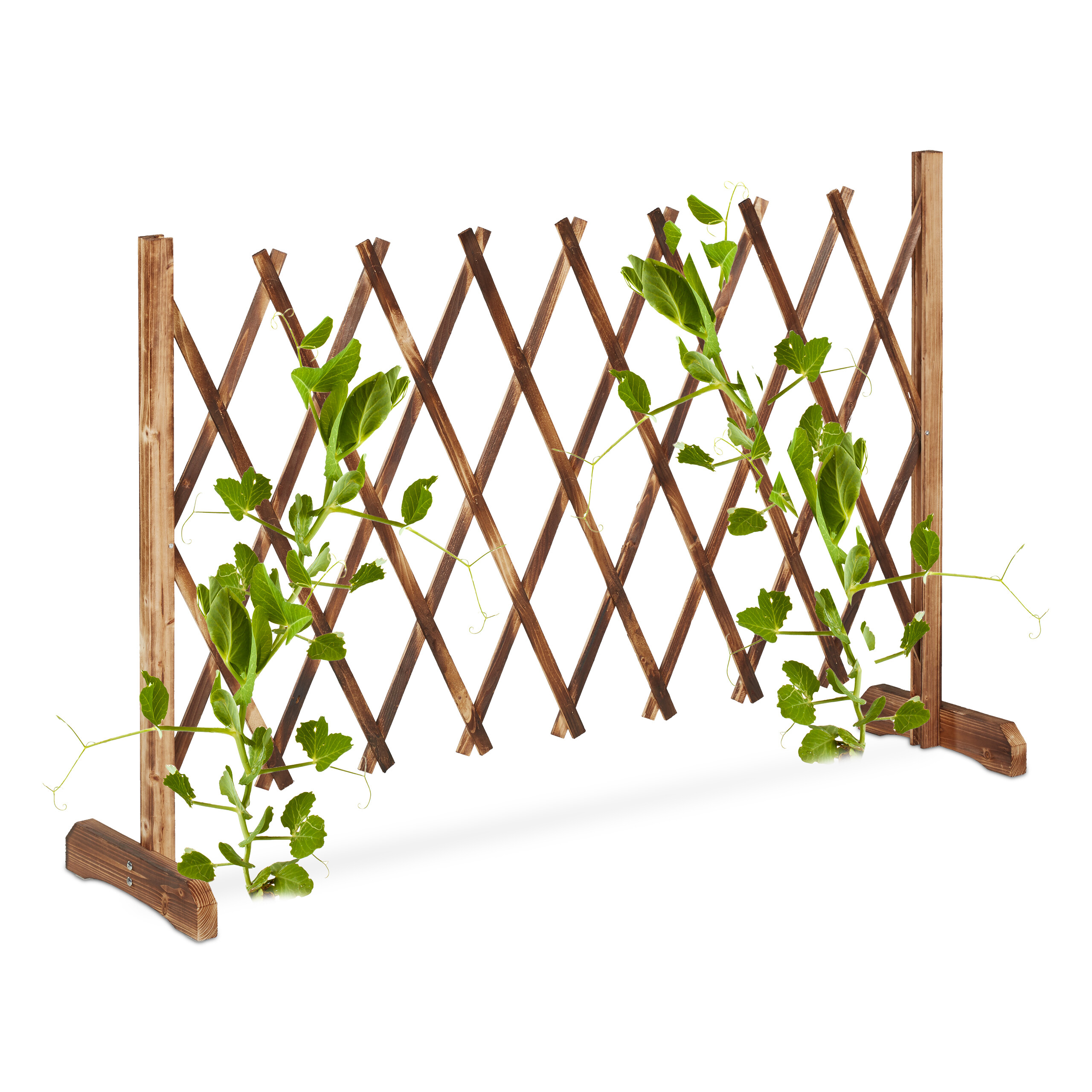 Rankgitter holz Scherenspalier Pflanzensttze Klettergitter Tannenholz  natur | eBay.de