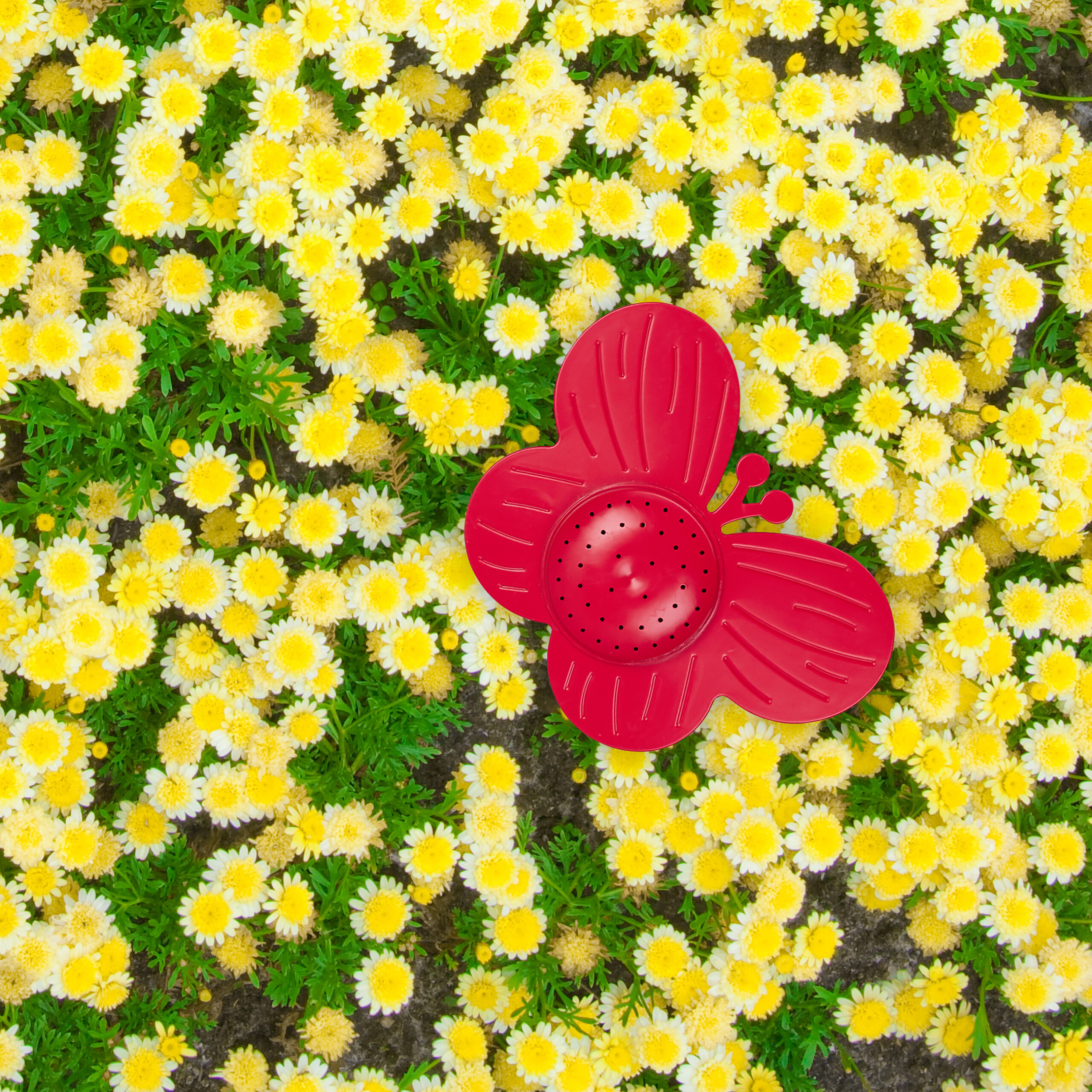 lichternetz batterie LED 1,5 m mit 100 LED in warm weiß - betrieben AMBIA GARDEN Gartentisch (ausziehbar)