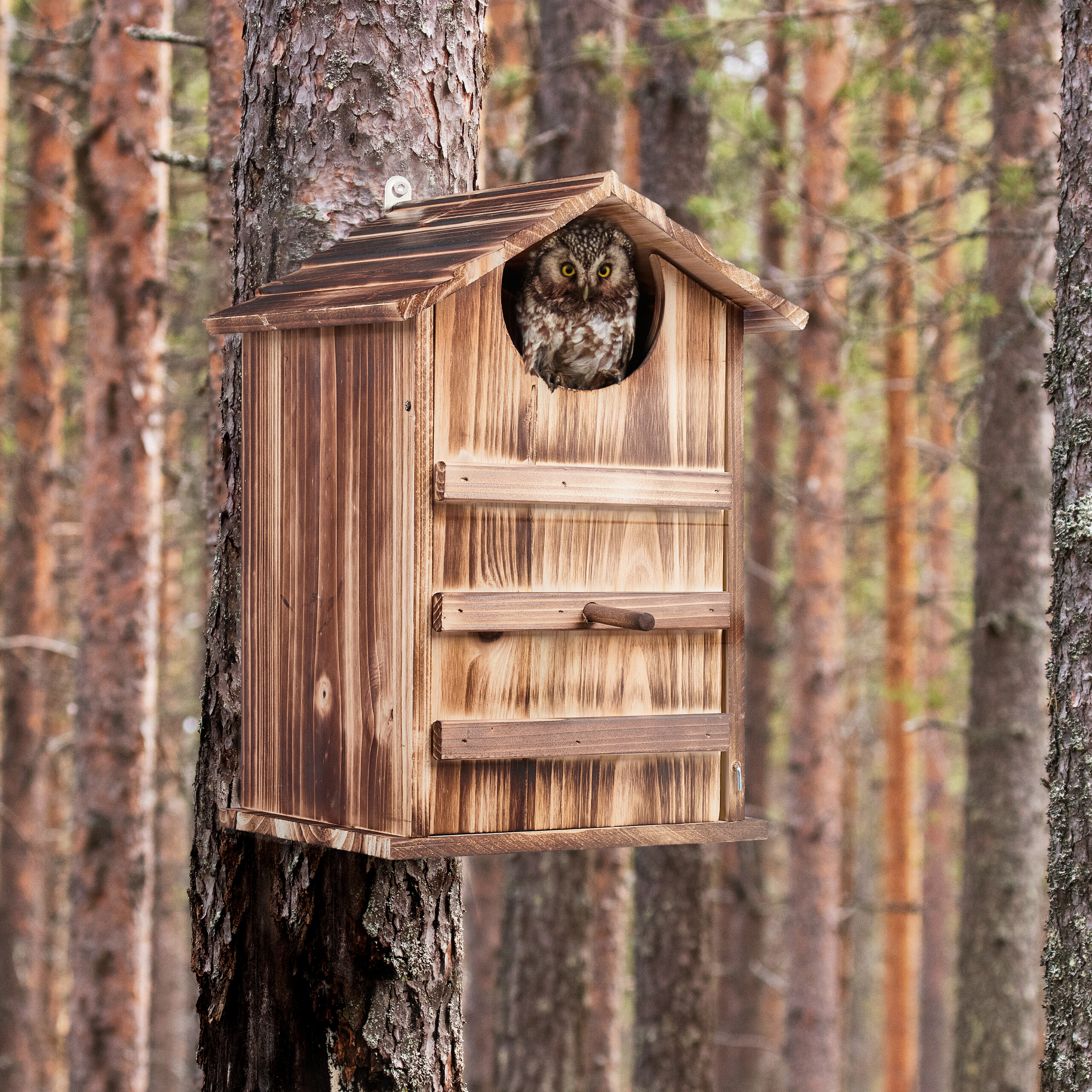 Eulenhaus Nistkasten Outdoor - Raubtiersicher Für Eulen & Vögel