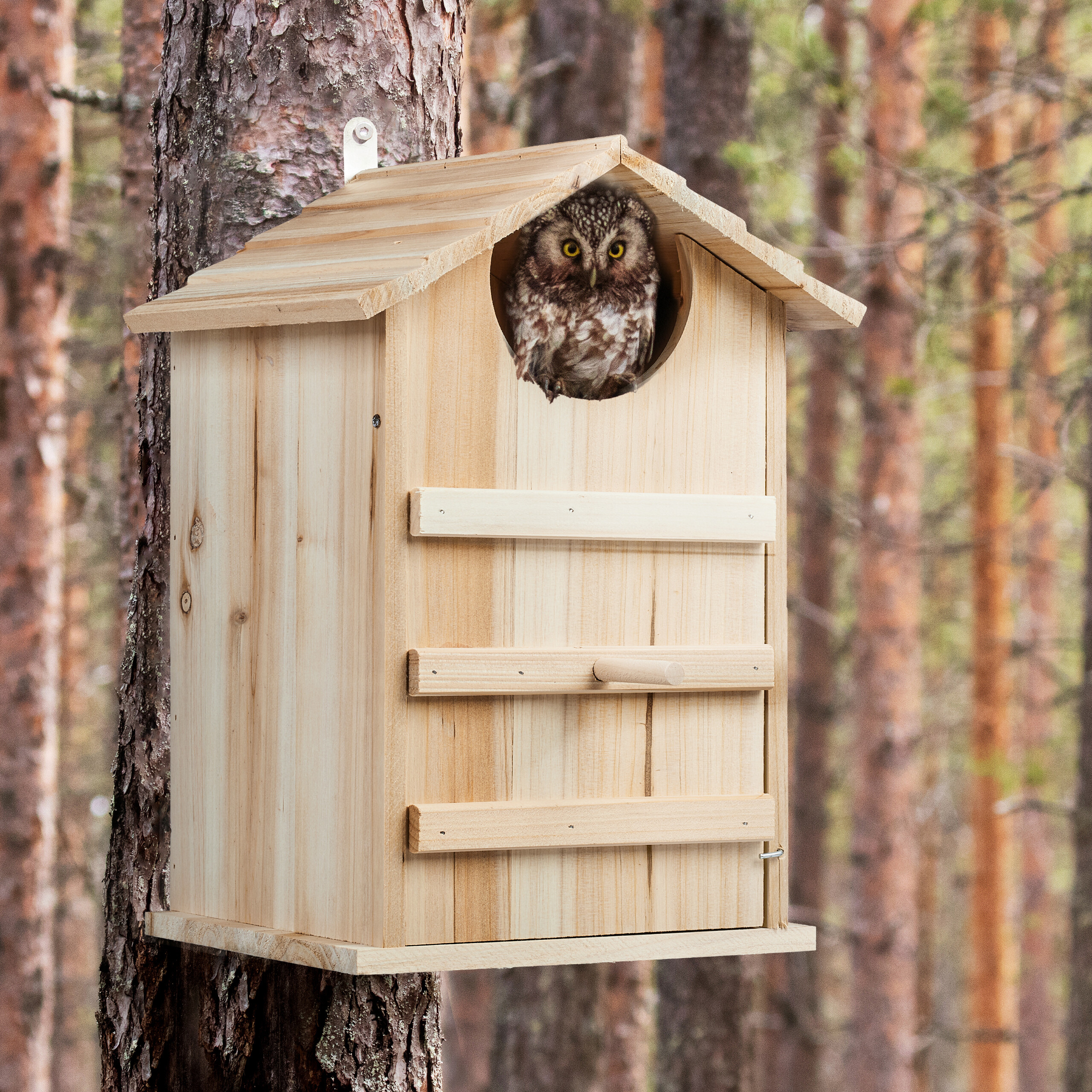 Relaxdays Nichoir d'extérieur pour Oiseaux, Nettoyage Facile grâce