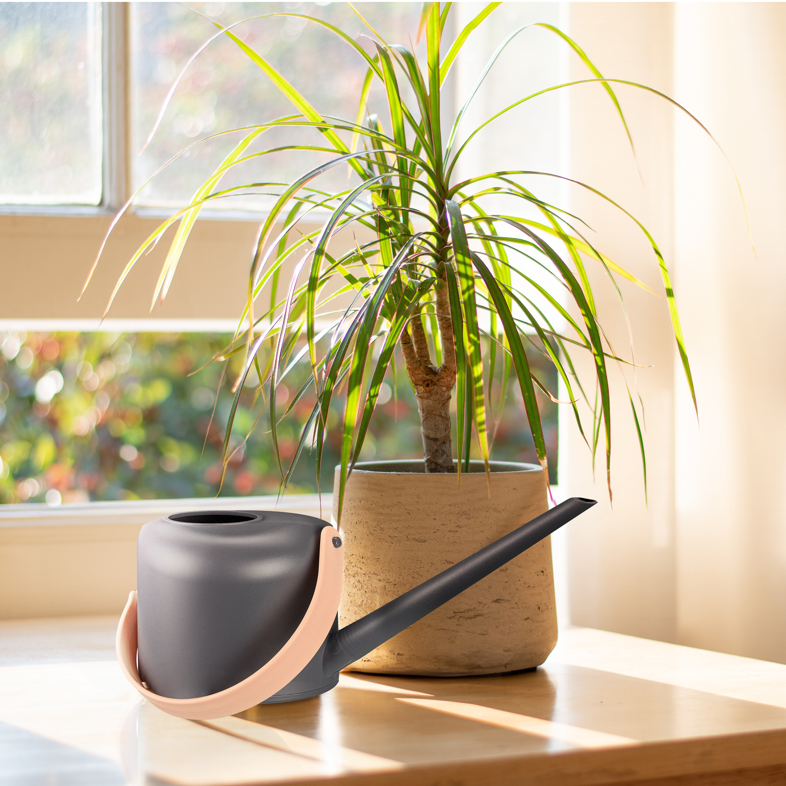 Giekanne zimmerpflanzen Pflanzenkanne 1,7 L grau/natur Giekanne fr  Pflanzen | eBay.de