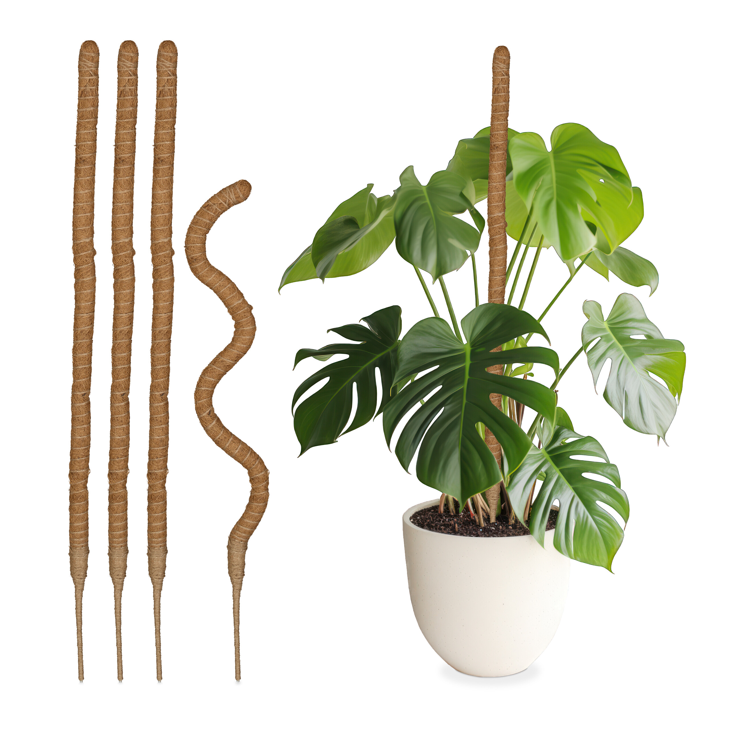 Kokosstab Kokos-Pflanzenstab Pflanzensttze Moosstab Rankstab 90 cm 5 Stck  | eBay