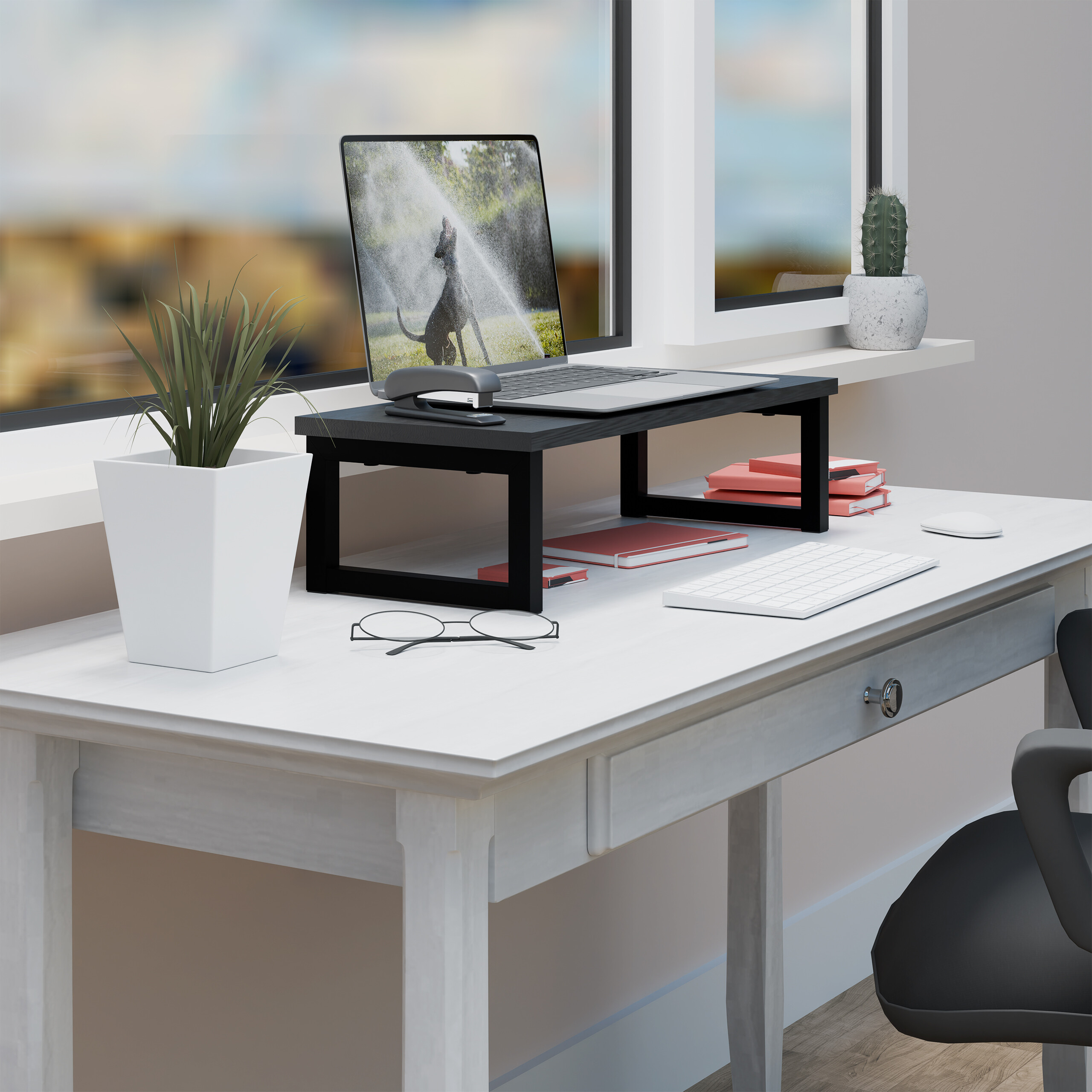 Afbeelding 10 van 13