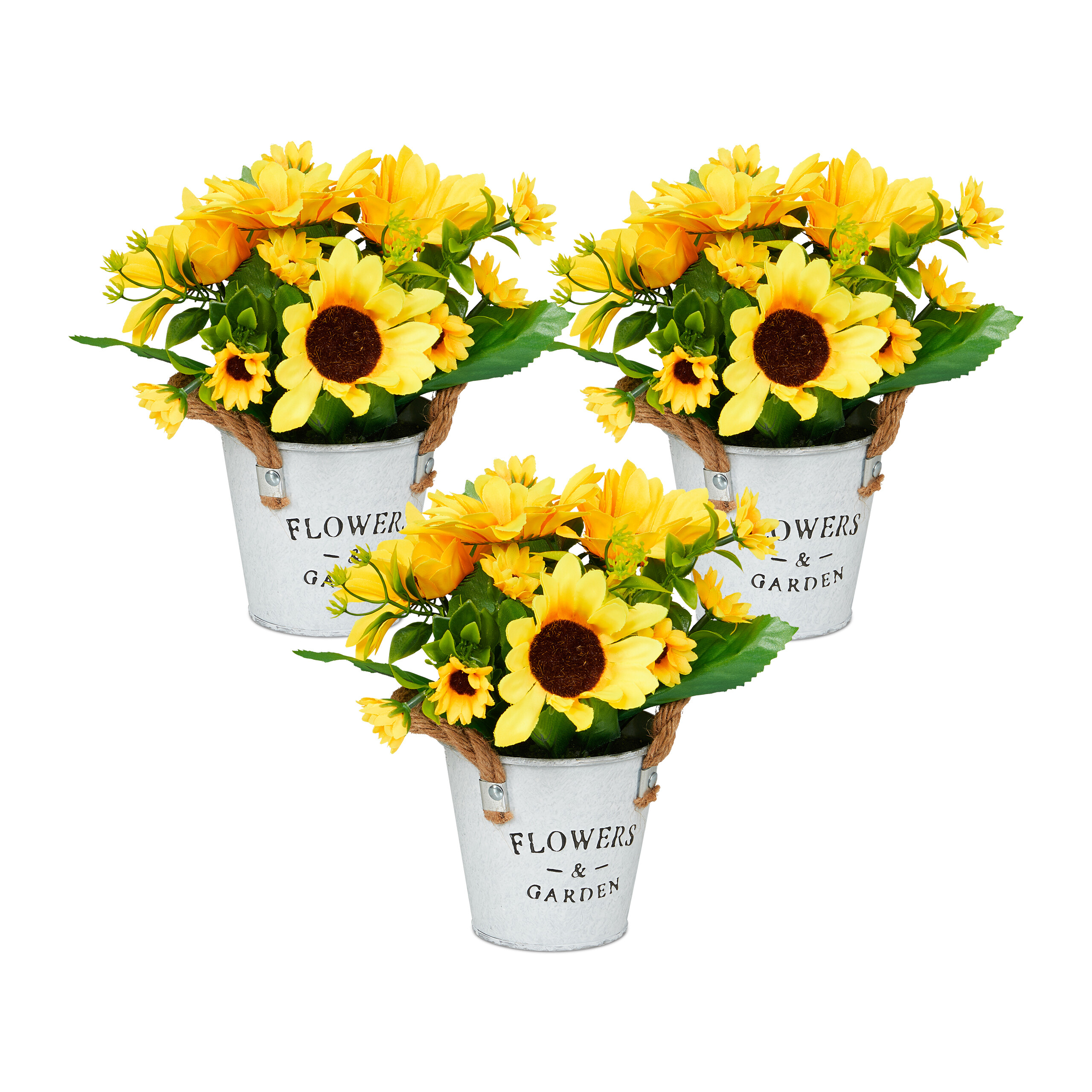 riesen monstera Voller Monstera Deliciosa Large Form Busch kaufen (3 Pflanzen) – Plantlovers