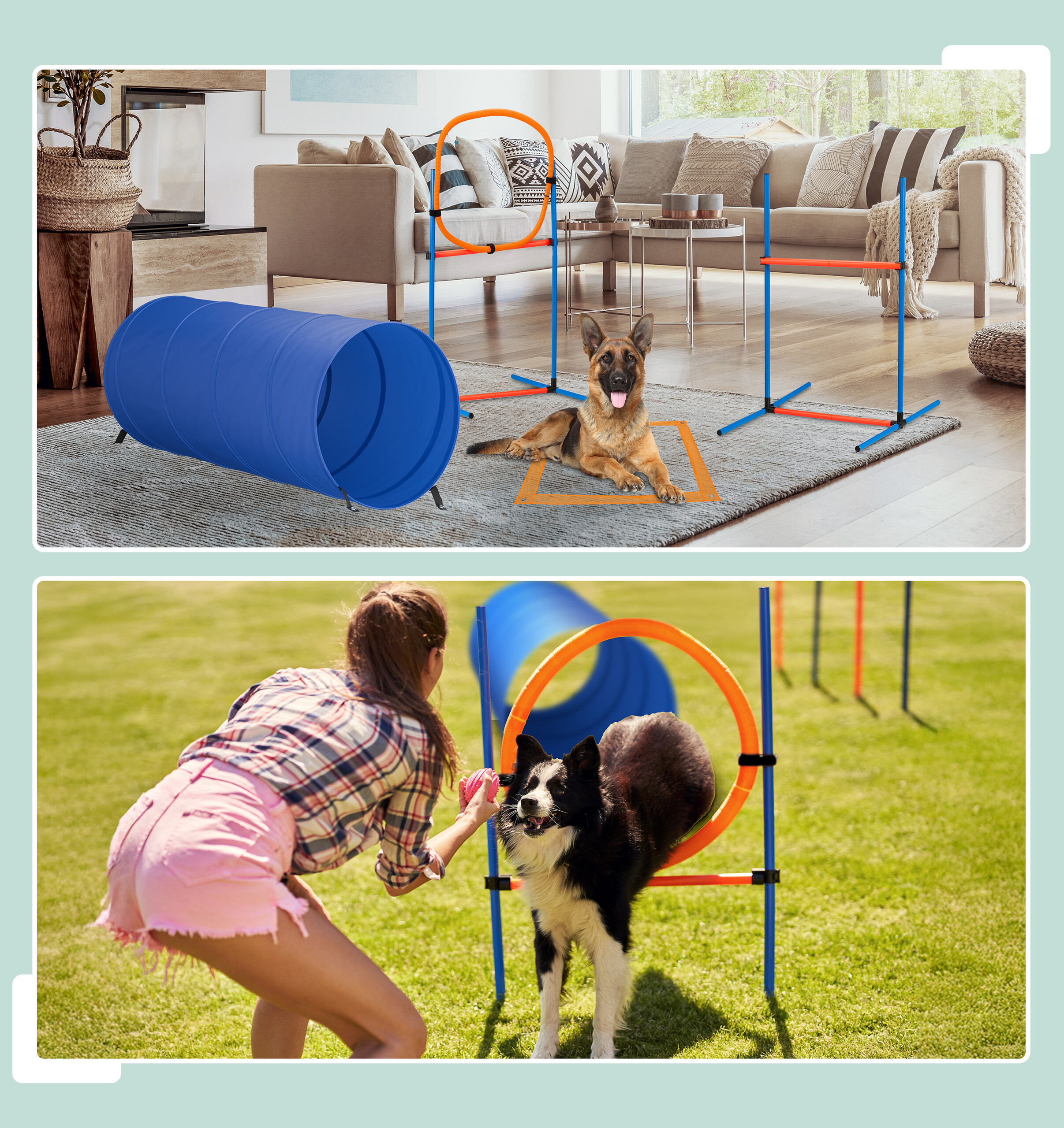 Dog Agility Course Backyard Set Midlee Adjustable Dog Agility