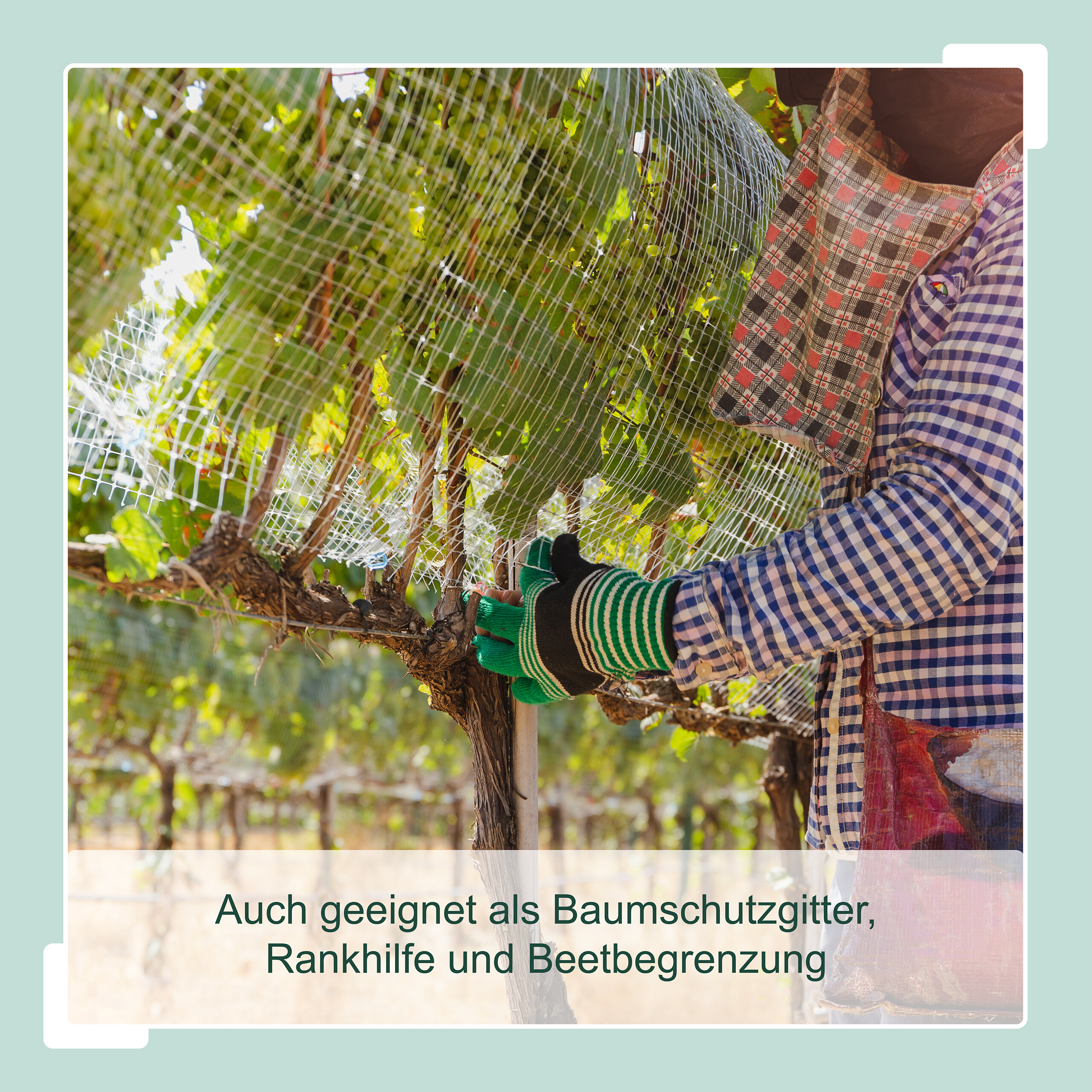 Bild 25 von 40