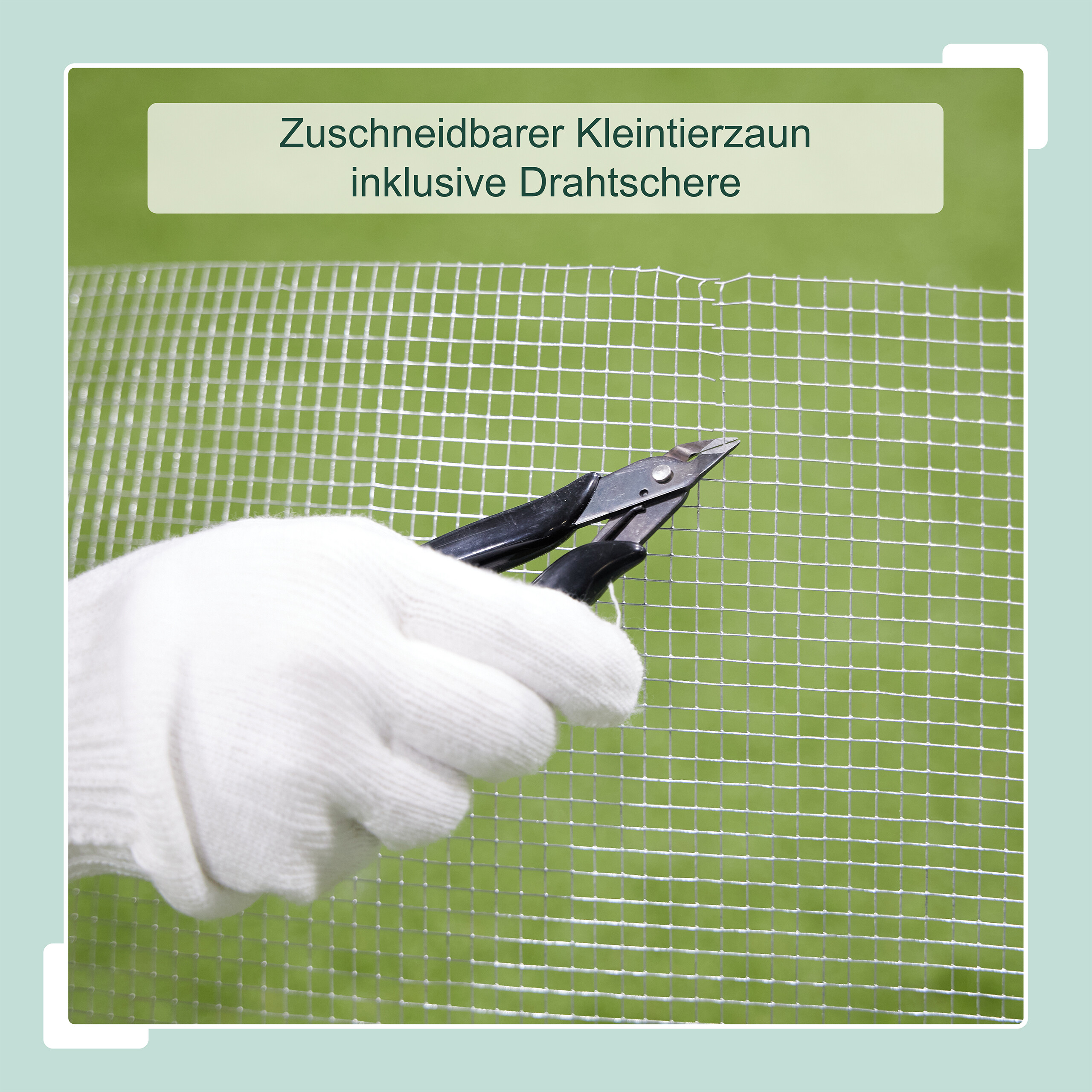 Bild 39 von 40